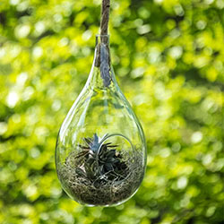 Elliptical Hanging Planter