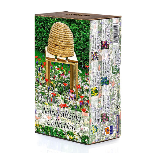 Naturalizing Box Collection