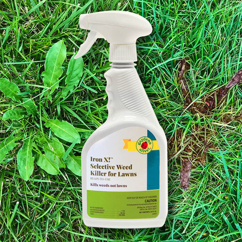 Iron X!™ Selective Weed Killer for Lawns