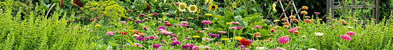 How to Gardening Article Library