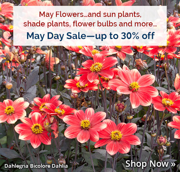 May Day Flash Sale: Save up to 30% on select items + Free Shipping on $50+