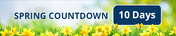 Spring Countdown Banner