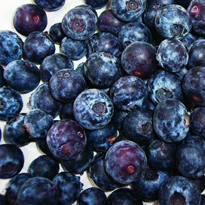 Duke Premium Blueberry