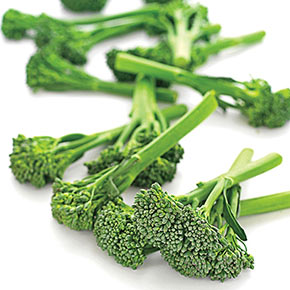 Aspabroc Baby Broccoli