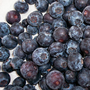 Rubel Blueberry