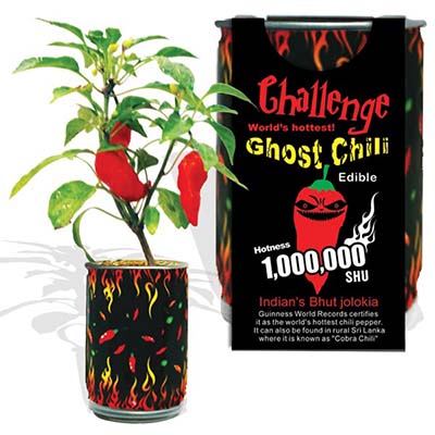 Ghost Pepper Plants
