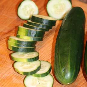 Sweet Burpless Hybrid Cucumber