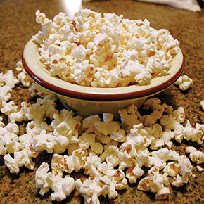 Hybrid Hull-Less Snow Puff Popcorn