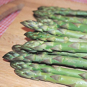 Giant Jersey Asparagus