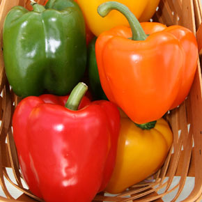 Sweet Pepper Plant Collection
