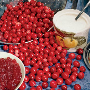 American Pilgrim Cranberries
