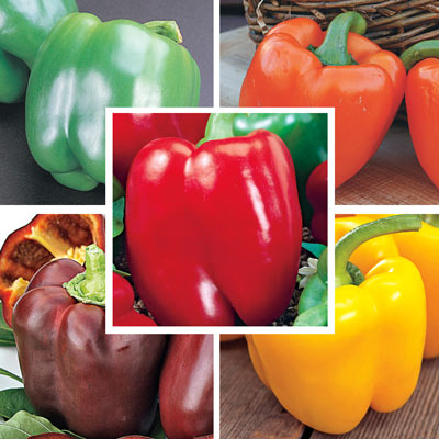 Sweet & Spicy Pepper Seed Collection