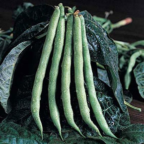 Belvoir Seeds Gránulos de cacahuete británico 2 kg de pienso para 