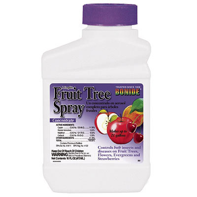 Fruit Tree Spray Pint