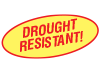 Drought Resistant
